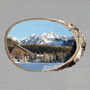 Štrbské pleso - magnet bříza