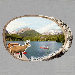 Štrbské pleso - kamzík - magnet bříza