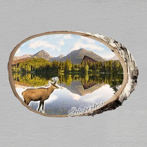 Štrbské pleso - kamzík - magnet bříza