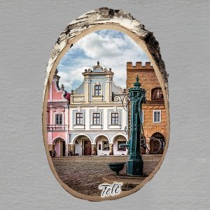 Telč - magnet bříza