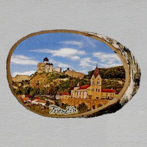 Trenčín - magnet bříza