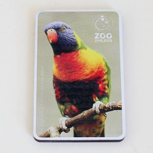 Zoo magnet  - papoušek