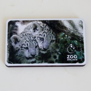 Zoo magnet irbis