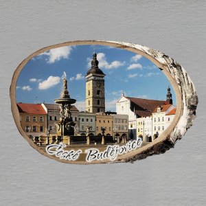 České Budějovice - magnet bříza