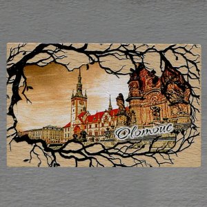 Olomouc - magnet masiv větve