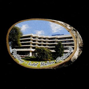 Piešťany - Hotel Balnea - magnet bříza