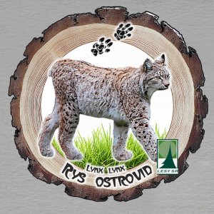 Lesy SR - Rys ostrovid - logo - magnet kůra kulatá - malá