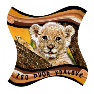 ZOO Dvůr Králové - Lvíče - magnet