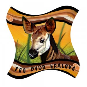 ZOO Dvůr Králové - Okapi - magnet