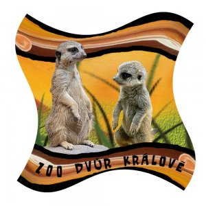 ZOO Dvůr Králové - Surikaty - magnet