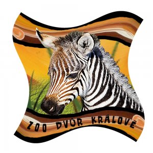 ZOO Dvůr Králové - Zebra - magnet