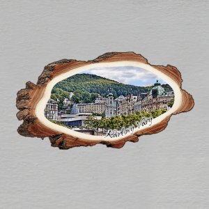 Karlovy Vary - magnet kůra