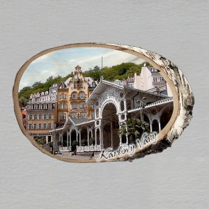 Karlovy Vary - magnet bříza