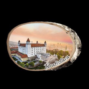 Bratislava - Hrad - magnet bříza