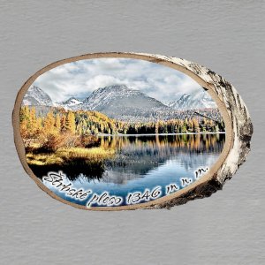 Štrbské pleso - magnet bříza