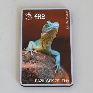 ZOO Jihlava - Bazilišek - magnet