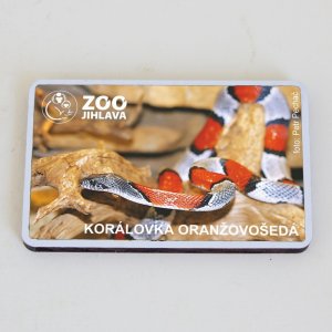 ZOO Jihlava - Korálovka oranžovošedá - magnet