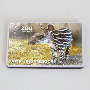 ZOO Jihlava - Tapír - magnet