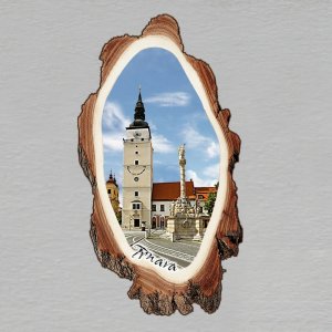 Trnava - magnet kůra