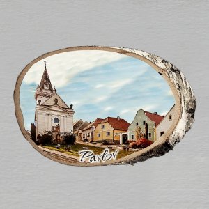 Pavlov - magnet bříza