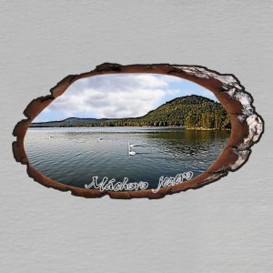 Doksy - Máchovo jezero - magnet kůra ovál