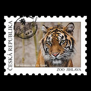 ZOO Jihlava - Tygr - magnet známka