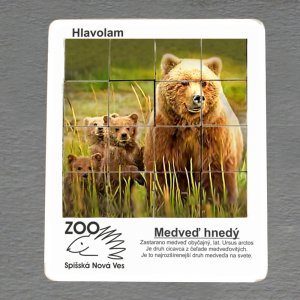 ZOO Spišská Nová Ves - medvědi - hlavolam