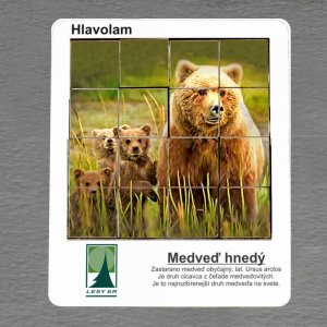 Lesy SR - Medveď - logo - hlavolam