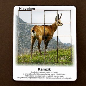 Kamzík - hlavolam