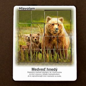 Medveď hnedý  - hlavolam