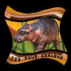 ZOO Dvůr Králové - Hroch - magnet