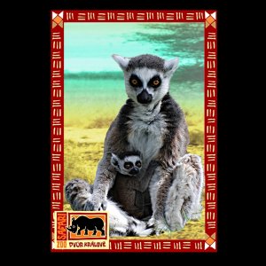 ZOO Dvůr Králové - Lemur - magnet C6 rám dvojitý