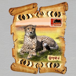 ZOO Dvůr Králové - Gepard - magnet pergamen