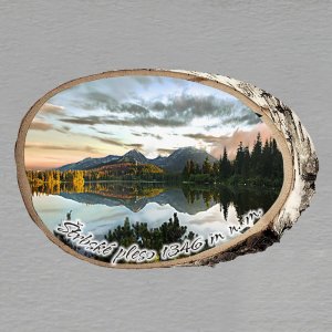 Štrbské pleso - magnet bříza