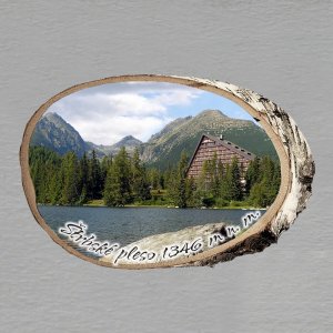 Štrbské pleso - magnet bříza