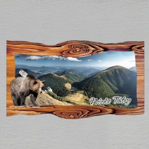 Nízke Tatry - medvěd - magnet prkno