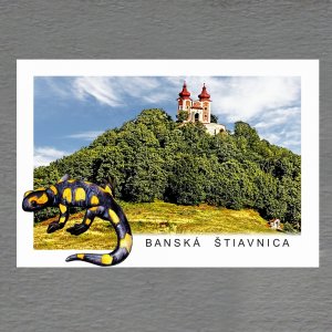 Banská Štiavnica - salamandr - magnet C6 dvojitý