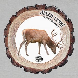 Jelen - magnet kůra kulatý