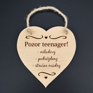 Pozor teenager .... - dekorace srdce 16cm