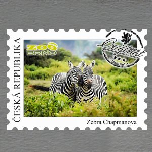 ZOO Brno - Zebra - magnet známka