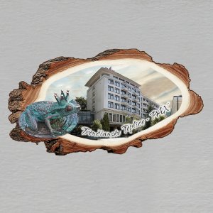 Trenčianske Teplice - Kúpelný hotel PAX - žába - magnet kůra dvojitý