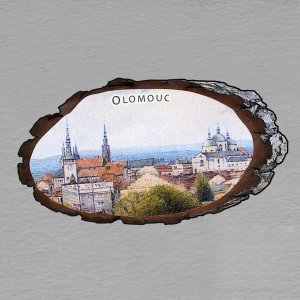 Olomouc - Panorama - magnet kůra ovál