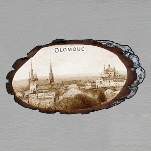 Oloumouc - Panorama - magnet kůra ovál - sépie