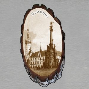 Olomouc - Náměstí - magnet kůra ovál - sépie