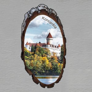 Konopiště - magnet kůra ovál