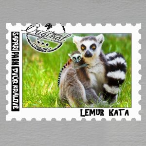 SAFARI PARK Dvůr Králové - Lemur - magnet známka