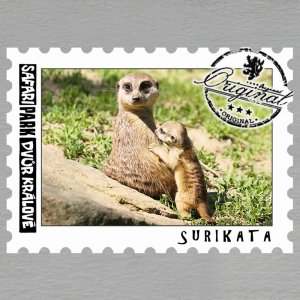 SAFARI PARK Dvůr Králové - Surikata - magnet známka