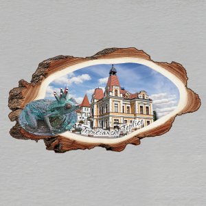 Trenčianske Teplice - Hotel Margit - žába - magnet kůra dvojitý