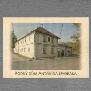 Rodný dům Antonína Dvořáka - pohled C6