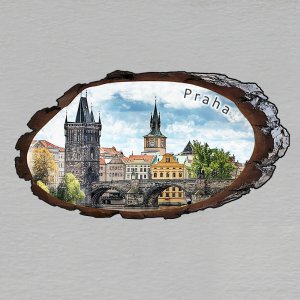 Praha - Karlův most den - magnet kůra ovál